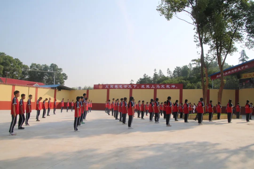 image9.jpeg