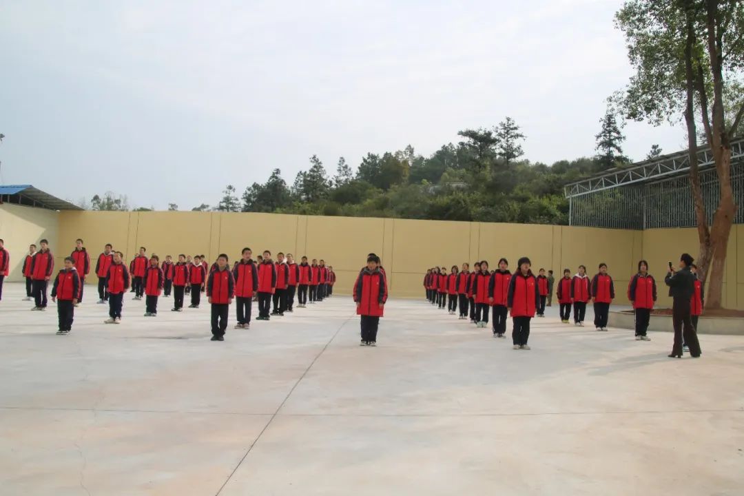 image8.jpeg
