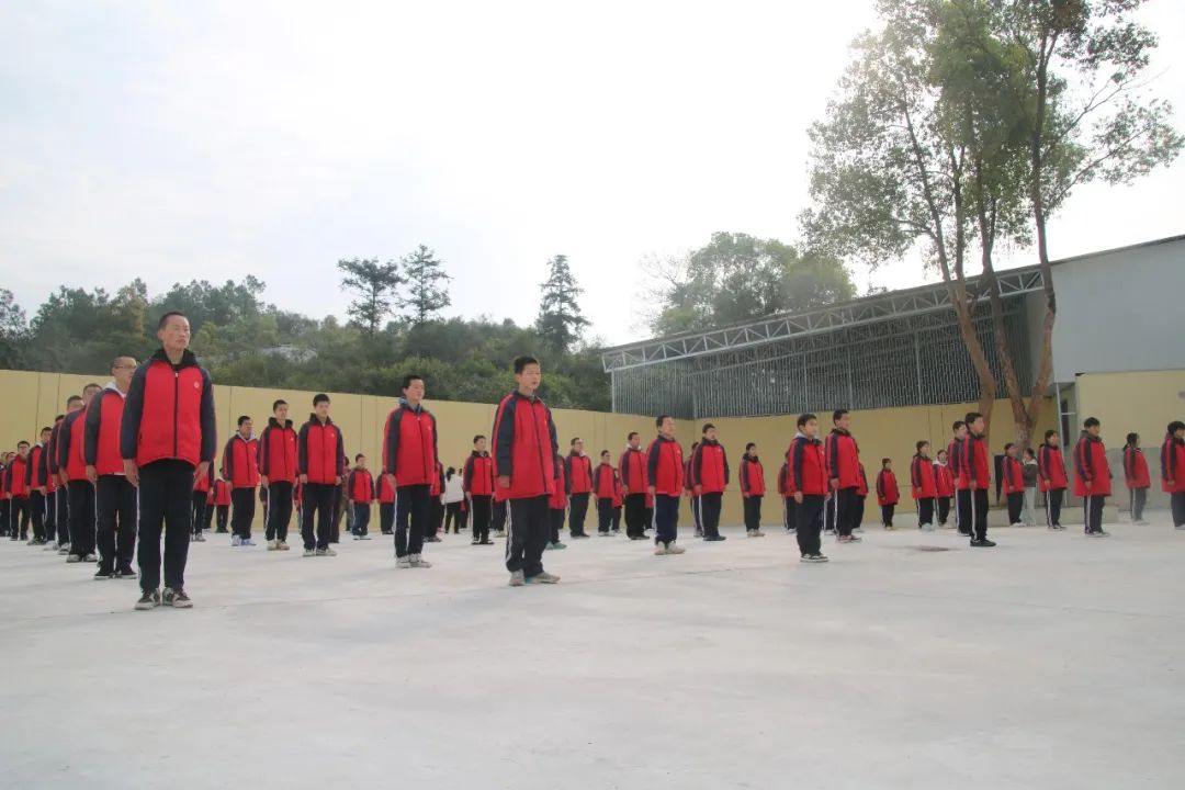 image11.jpeg
