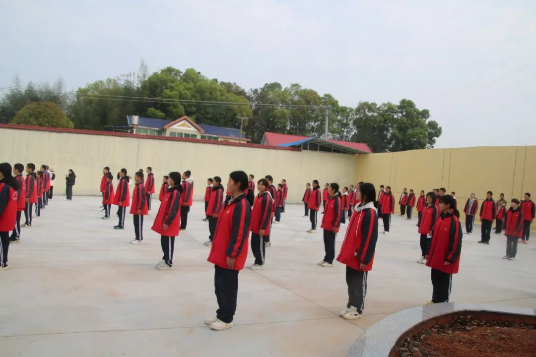 image13.jpeg